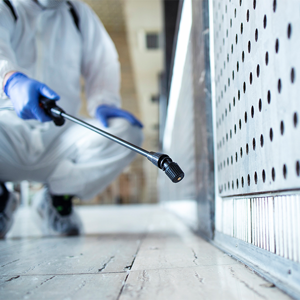 Pest Control Services